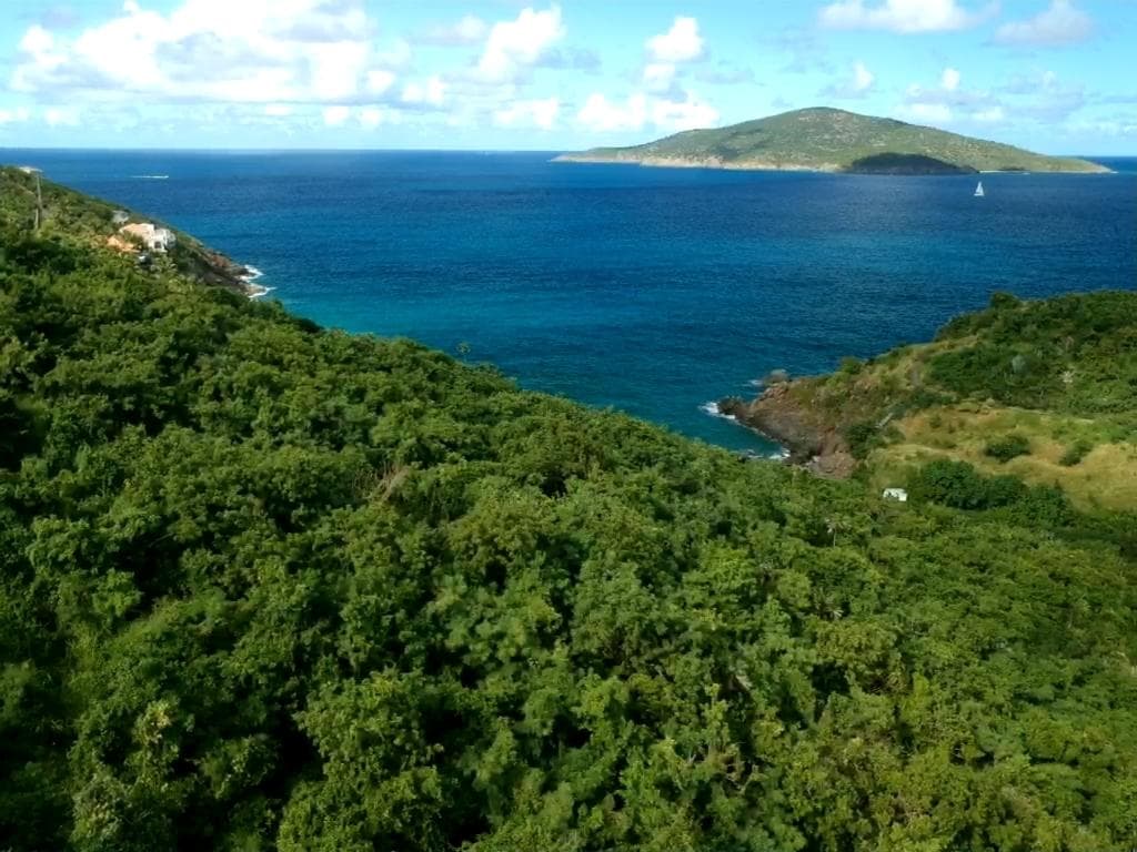 Waterfront Commercial Property in St. Thomas
